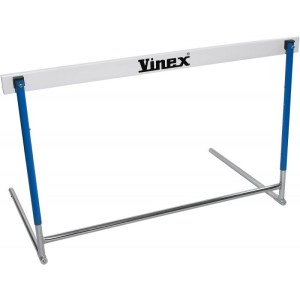 VINEX School prepona